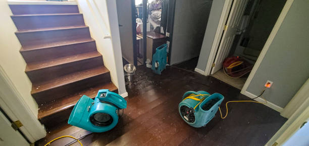 Best Professional water damage repair  in Windcrest, TX