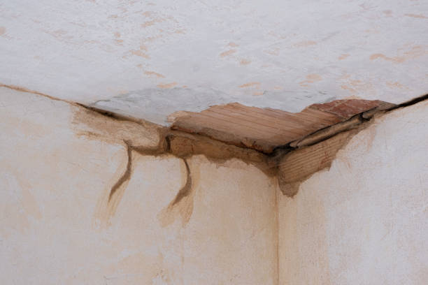 Best Flooded house restoration  in Windcrest, TX