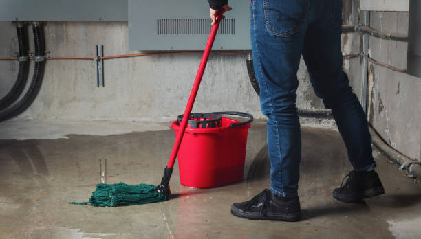 Best Commercial water damage restoration  in Windcrest, TX