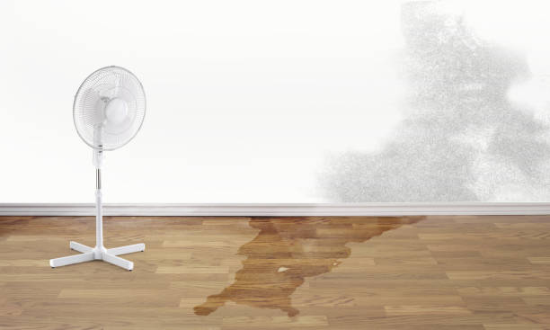 Sewage cleanup and water damage restoration in Windcrest, TX