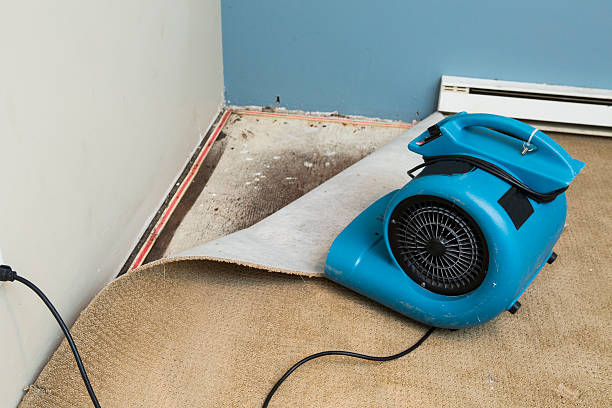 Best Emergency water damage restoration  in Windcrest, TX